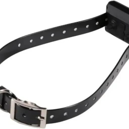 Test du Système de Clôture Anti-Fugue : un investissement raisonnable pour la sécurité de vos chiens