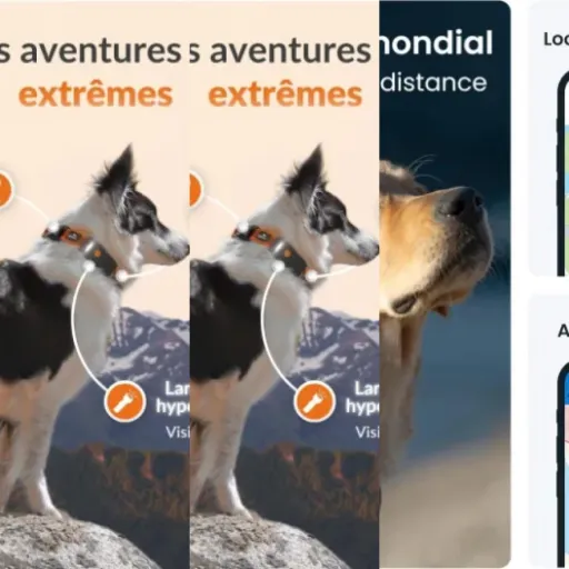 Classement des 5 meilleurs colliers GPS pour chien avec abonnement (janvier 2026)