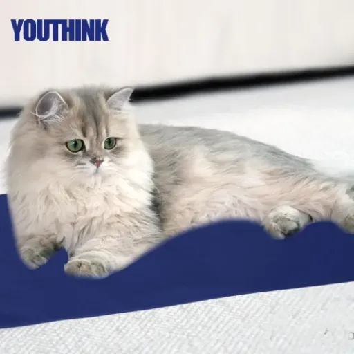 Test du coussin chauffant YOUTHINK : chaleur abordable pour vos compagnons à quatre pattes