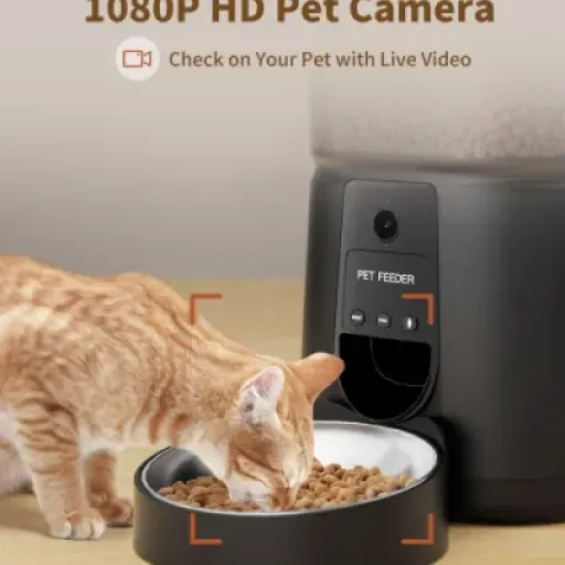 Test Distributeur Croquettes Chat Automatique PUPPY KITTY : Pratique mais perfectible