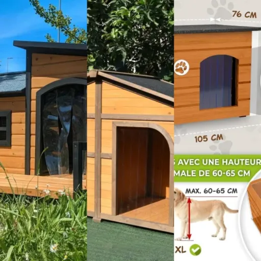Notre sélection des 14 meilleurs abris d’extérieur sécurisés pour chien (janvier 2026)