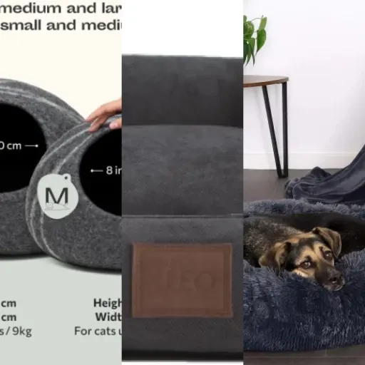Guide d'achat : les 16 meilleurs lits design haut de gamme pour chien (janvier 2026)