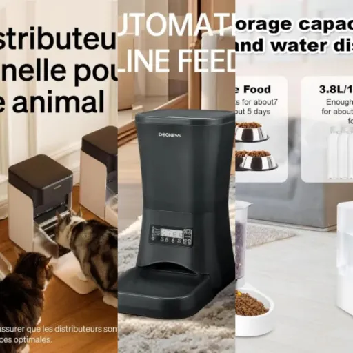 Classement des 6 meilleurs distributeurs automatiques connectés pour chien (janvier 2026)