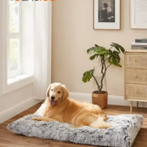 Test Feandrea Panier pour Chien : un lit confortable pour votre toutou