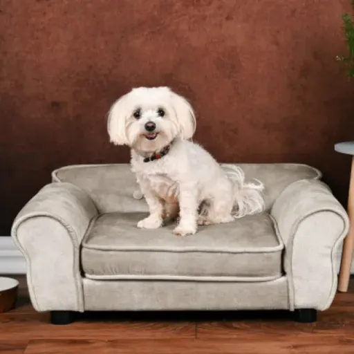 Test du Canapé MG Design : Un espace détente pour vos petits compagnons