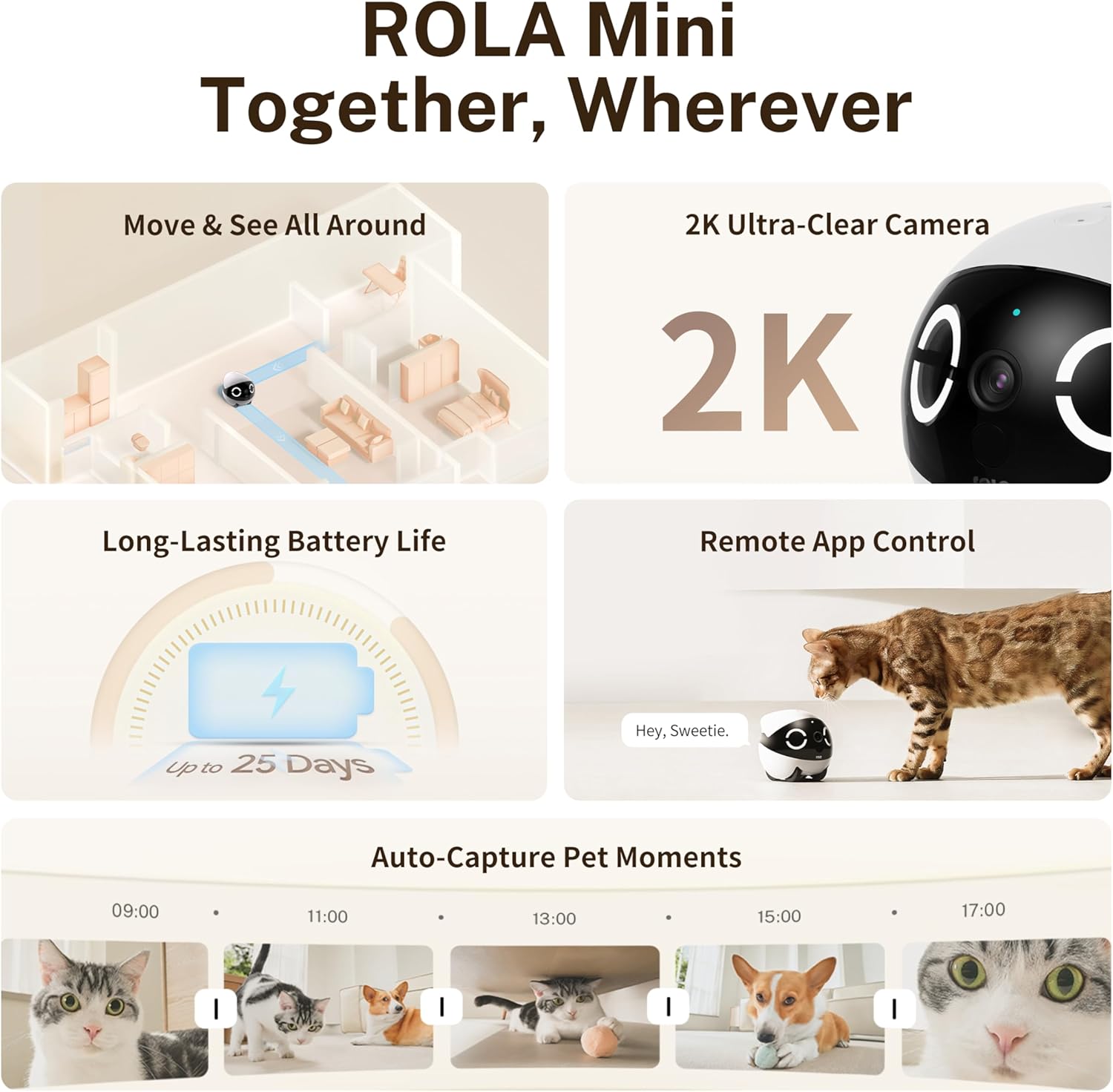 Enabot EBO ROLA Mini FamilyBot, 2K Caméra Robot pour Animaux, Caméra Robot pour Animaux Mobile avec app, Appel Tactile, Audio 2 Voies, Vision Nocturne IR, détecteur Mouvement et vidéo