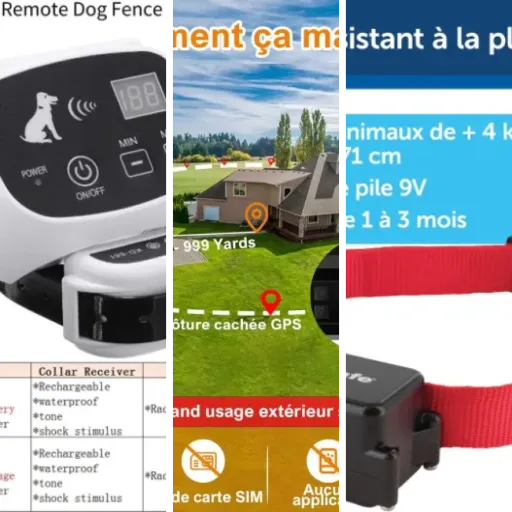 Guide d'achat : les 18 meilleurs systèmes anti-fugue connectés pour chien (2026)