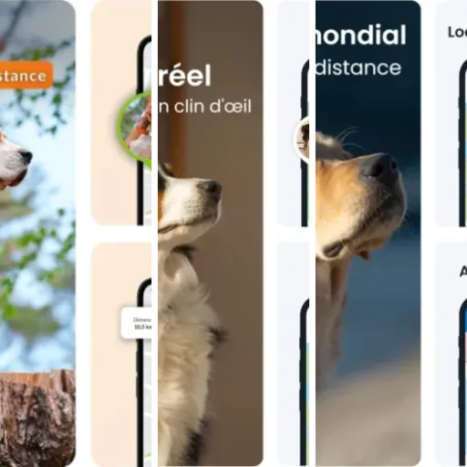 Les meilleurs traceurs GPS pour chien avec suivi en temps réel : notre top 10 (2026)