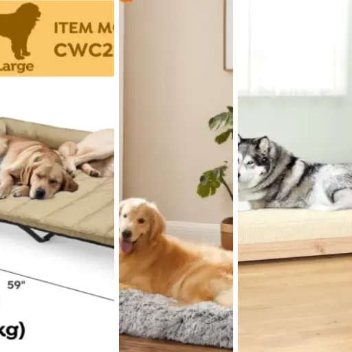 Guide d'achat : les 9 meilleurs lits design haut de gamme pour chien (2026)