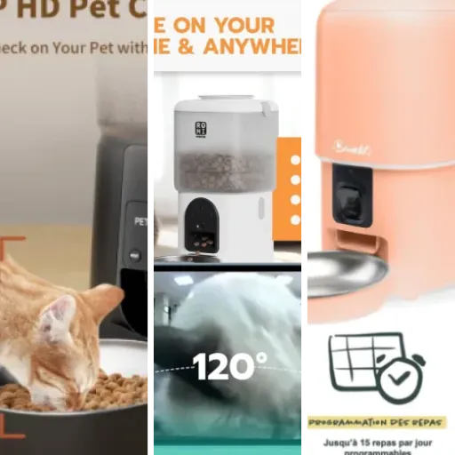 Les meilleurs distributeurs pour chien avec caméra intégrée : notre top 6 (2026)