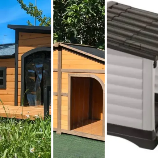 Top 13 : meilleurs niches connectées pour chien (2026)