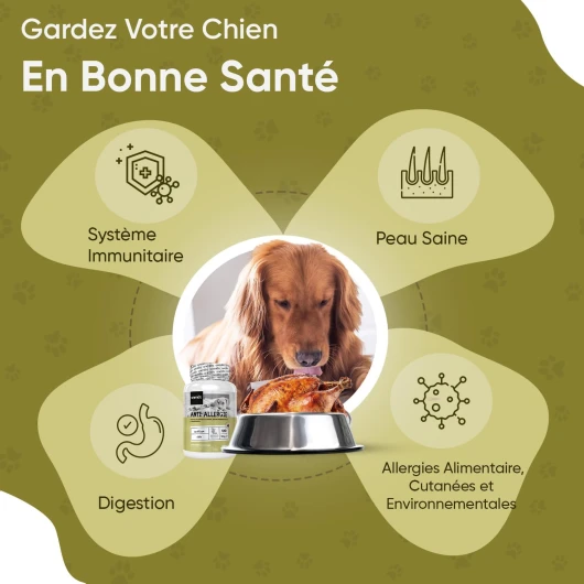 71BP8bq12TL._AC_SL1500_