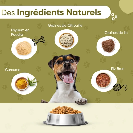 713XZa2GmEL._AC_SL1500_