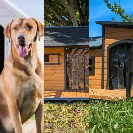 Quel niche chien extérieur choisir ? Top 5 (juin 2026)