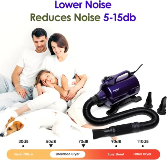 71bb00DJlXL._AC_SL1500_