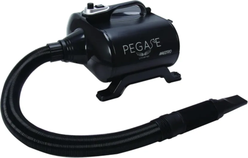 Phoenix Séchoir Maestro pour Chien 3000 W