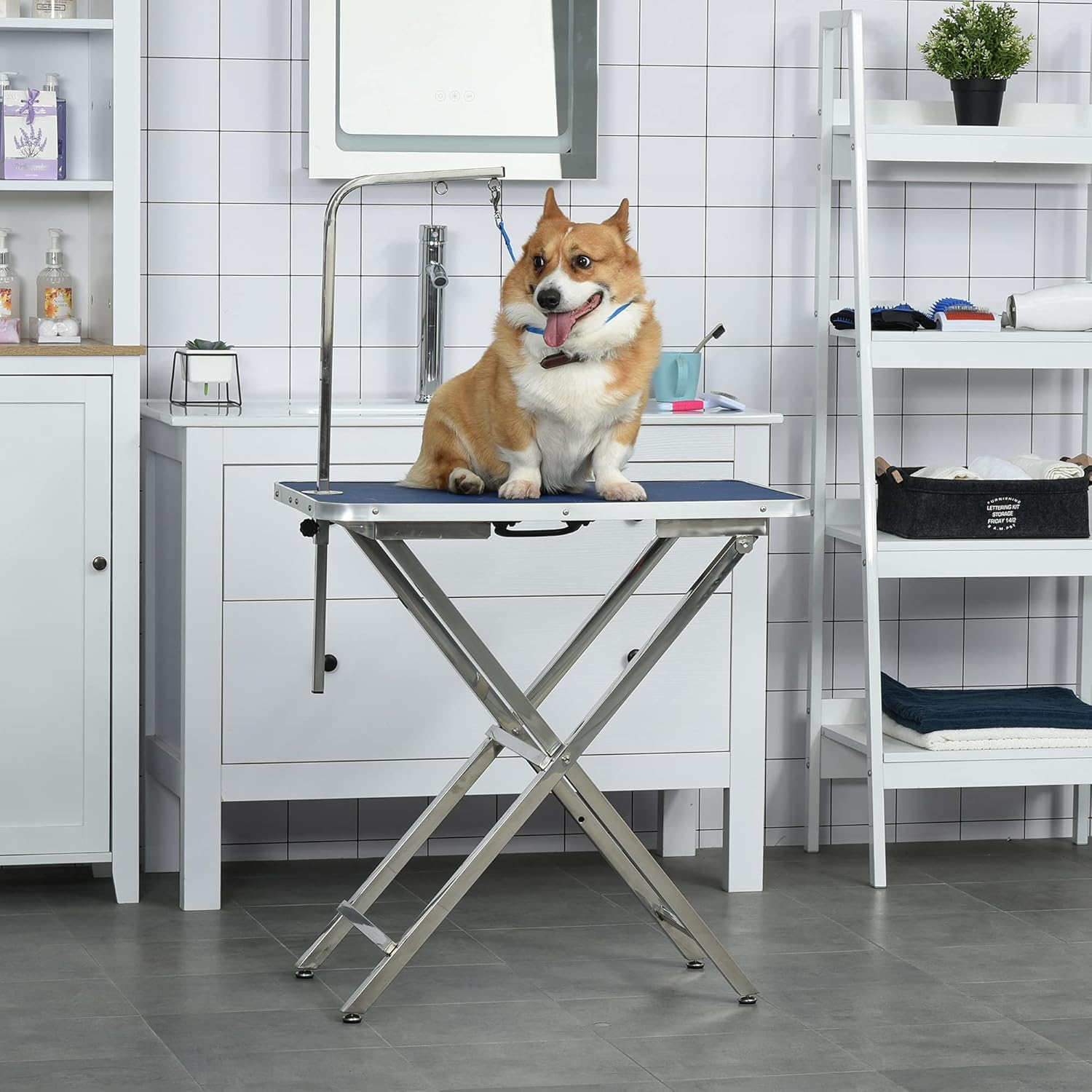 Table de toilettage Hauteur réglable, plateau antidérapant, pieds pliables en acier inoxydable, poignée et bras ajustables 72x45x74-81 cm Bleu