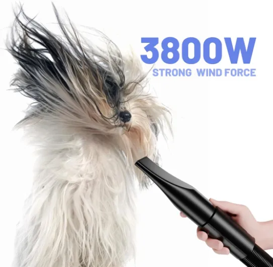 71TIPl0KjFL._AC_SL1500_