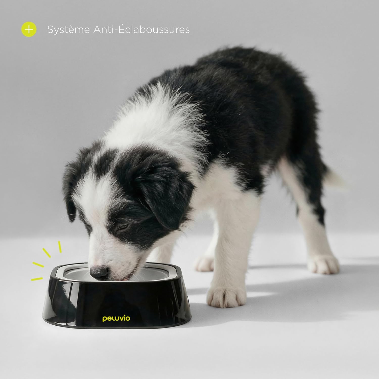 Ripple Gamelle Anti-fuites pour Chien 1 L Gamelle à Eau sans déversement, gamelle Anti-éclaboussures antidérapante avec Disque Flottant et Rebord Anti-éclaboussures, Boisson Lente