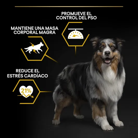 PURINA PRO PLAN - Light/Stérilisé- Chien Adulte - Toutes Tailles - Croquettes Riches en Protéines- Au Poulet- Favorise la gestion du Poids - Sac - 14KG 14 kg (Lot de 1)