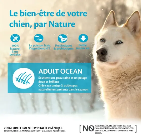 Océan 10 kg, Saumon/Thon – Croquettes pour Chiens Moyens/Grands, sans Céréales, Naturelles, Hypoallergénique, Riche en protéines, À Haute Teneur en Poisson, Peau Saine & Pelage Brillant Ocean - Saumon et thon 10 kg (Lot de 1)