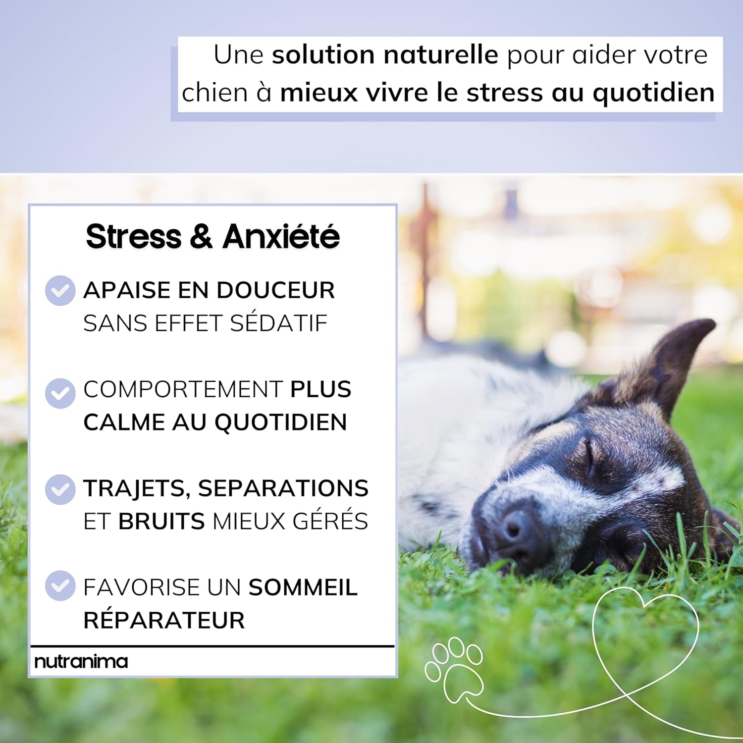 Stress & Anxiété Chien - Complément Apaisant aux Ingrédients Naturels - 120 Friandises Bien-Être - Soutient le Comportement Calme - Chiot, Adulte et Sénior - Marque Française