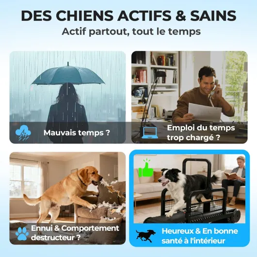Tapis de Course pour Chien Autopropulsé Slatmill Manuel, Tapis de Marche Silencieux pour Chiens Moyens & Grands, Acier Renforcé 200kg, Surface XL 170x50cm, Inclinaison Réglable, Usage Intérieur