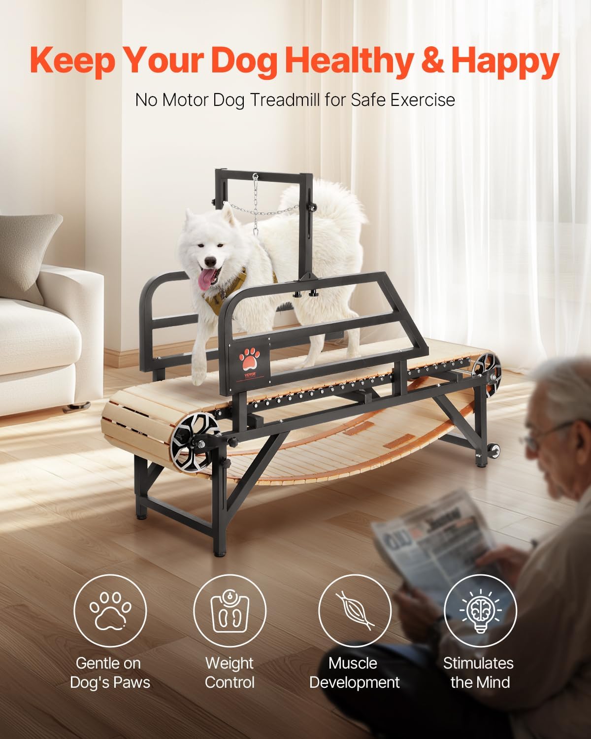 Tapis de Marche pour Chiens de Taille Moyenne, Capacité de Charge 100 kg, Tapis de Course avec Piste Large 44,5, Réglages d'Inclinaison, Équipement d'Exercice Intérieur pour Animaux de Compagnie L Manuel