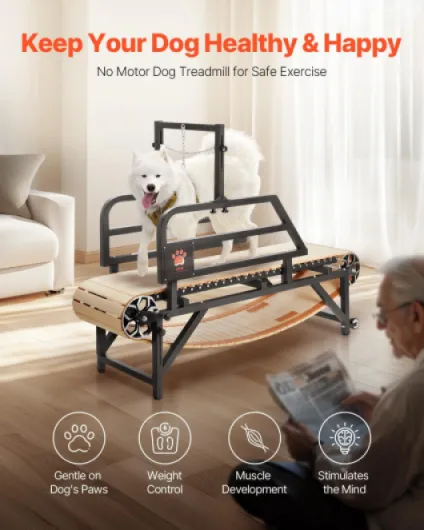 Tapis de Marche pour Chiens de Taille Moyenne, Capacité de Charge 100 kg, Tapis de Course avec Piste Large 44,5, Réglages d'Inclinaison, Équipement d'Exercice Intérieur pour Animaux de Compagnie L Manuel