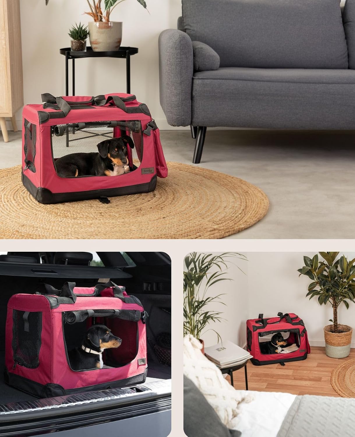 Lionto Caisse de Transport Pliable pour Chien & Chat, 50x34x36 cm, Tissu Oxford Robuste + poignées & Couverture, pour Animaux Jusqu’à 10 kg, Caisse pour Petits & Grands, Rouge foncé Rouge foncé L 50 x l 34 x H 36 cm
