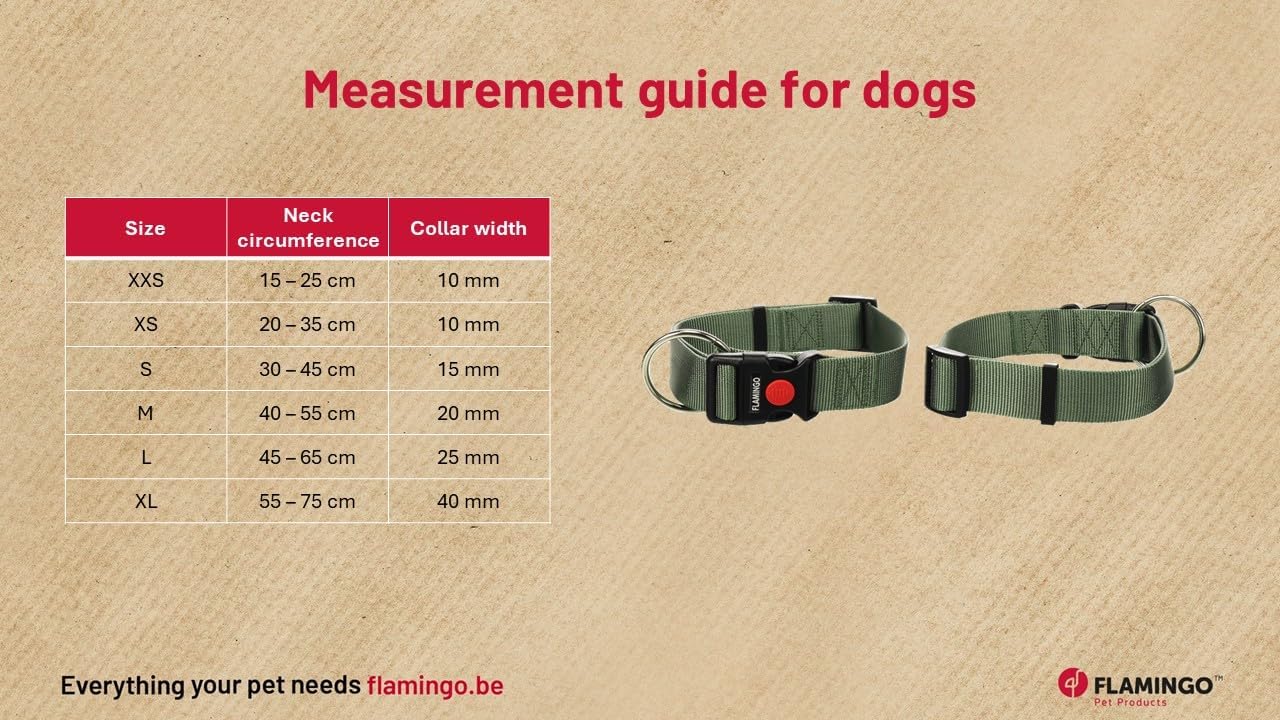 Collier Chien - Collier Ziggi Kaki - Taille XXS - 15-25 cm x 10 mm - Nylon réglable - Anneau métal Nickel Kaki XXS - 15-25 cm - 10 mm