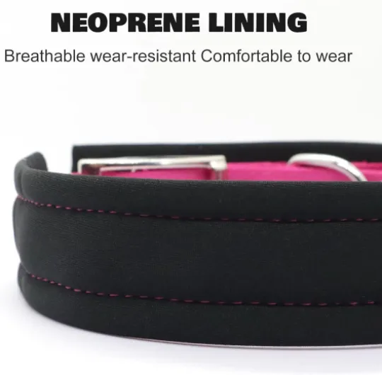 Collier personnalisé pour Chien en Nylon réfléchissant avec nom gravé, Boucle métallique, Confort Doux - Laisse Assortie Disponible (Noir)
