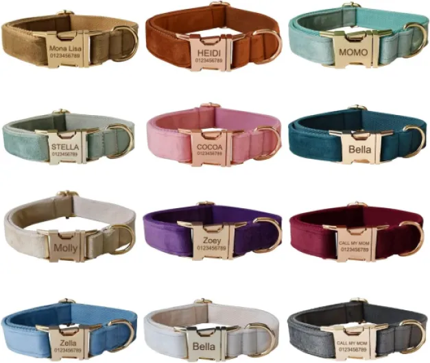 Collier pour chien personnalisé avec boucle en métal – Colliers pour animaux de compagnie personnalisés avec nom et numéro de téléphone (style velours 1)