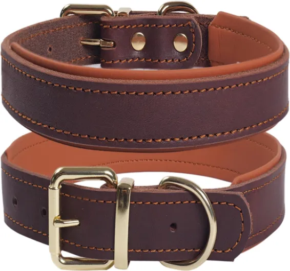 Collier pour Chien en Cuir Rembourré Véritable, Solide et Souple, Offrant Un Confort Optimal pour Les Races de Taille Moyenne, Grande et Très Grande – Réglable et élégant (Marron M) Marron M Cou 34-47 cm, largeu 3 cm 1