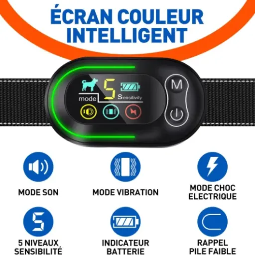 Test Collier Anti-Aboiement WELLTURN S2 : un collier qui fait le job sans se déclencher pour rien