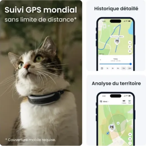 Test Tractive Collier GPS Chat Connecté Mini 2026 : enfin un traceur sérieux pour les chats qui vadrouillent