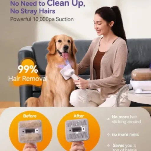 Test oneisall Aspirateur pour chiens : enfin un brossage sans poils partout dans l’appart