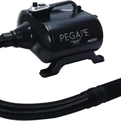 Test Phoenix Séchoir Maestro 3000 W : le pulseur costaud qui fait gagner un temps fou