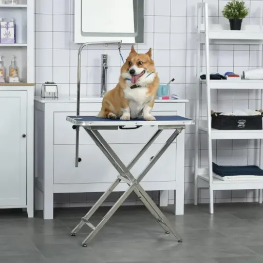 Test PawHut Table de toilettage : enfin le dos qui survit aux séances de brossage