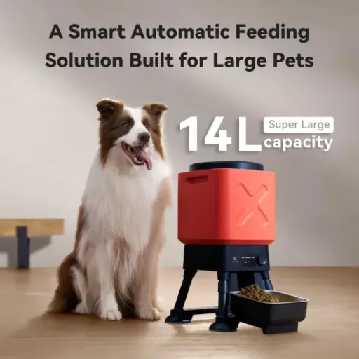 Test Mangeoire Automatique MOLLY&CODY 14L : le distributeur qui soulage le planning des maîtres pressés