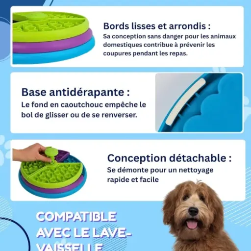 Test SOLDAY Gamelle Anti Glouton 3 Couches : un puzzle qui calme bien les gloutons (mais pas magique)