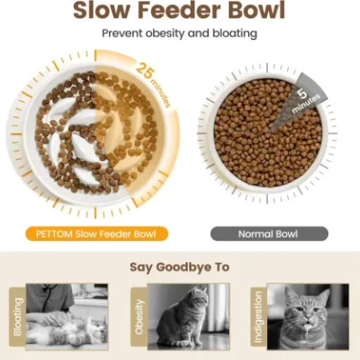 Test PETTOM Gamelle Anti Glouton Chat Céramique : jolie, pratique, mais pas magique non plus