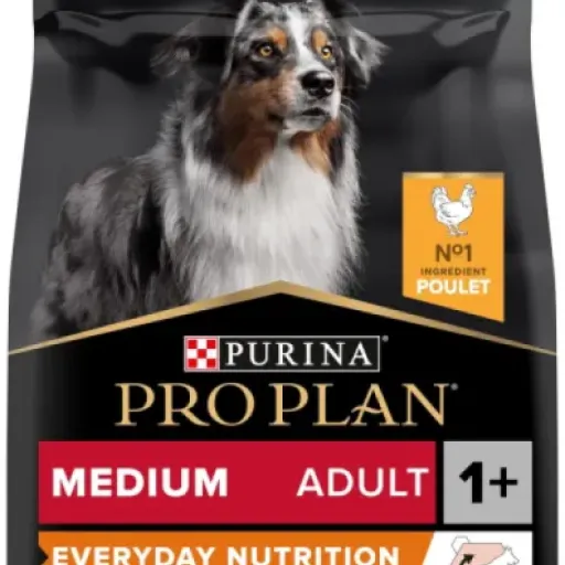 Test Purina Pro Plan Everyday Nutrition Poulet 14 kg : les croquettes « valeur sûre » pour chien adulte