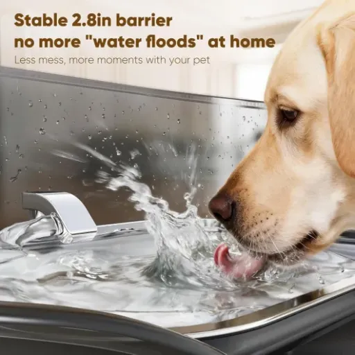 Test Fontaine SHARLOVY 8L inox : la grosse gamelle qui évite les flaques (ou presque)