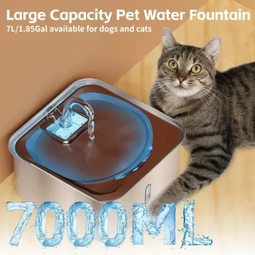 Test Yosamy Fontaine à eau 7L inox : grosse capacité, mais pas parfaite pour tous les chiens