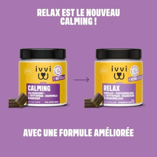 Test Ivvi Relax Calmant pour Chiens : des friandises pour apaiser, mais pas miracles
