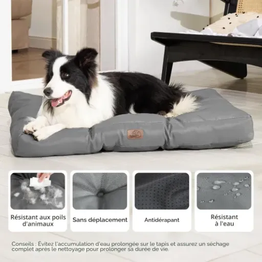Test Bedsure Coussin Chien Grande Taille : un matelas simple, costaud et facile à vivre (mais pas magique non plus)