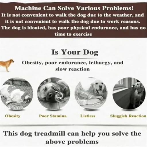 Test tapis de course pour chiens 80 kg : pratique pour les gros chiens, mais pas sans défauts
