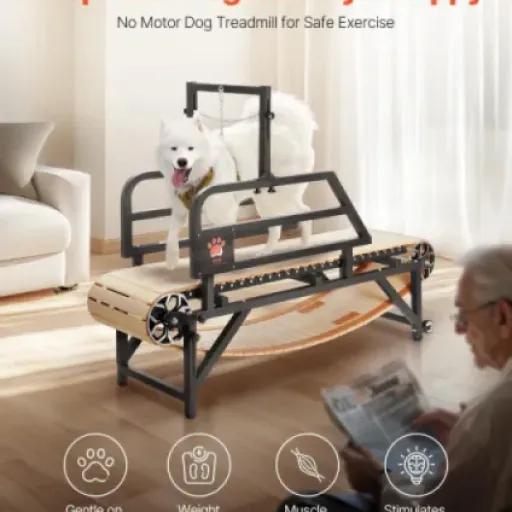 Test VEVOR Tapis de Marche pour Chiens : le slatmill manuel pas cher qui fait transpirer ton chien (et un peu ton dos)