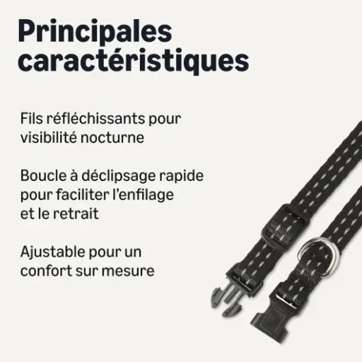 Test Amazon Basics Collier en Polyester XS : le collier pas cher qui fait le job pour un petit chien